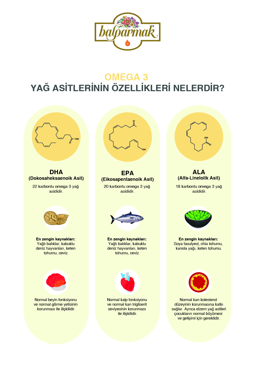 omega 3 yağ asitlerinin özellikleri nelerdir bilgi