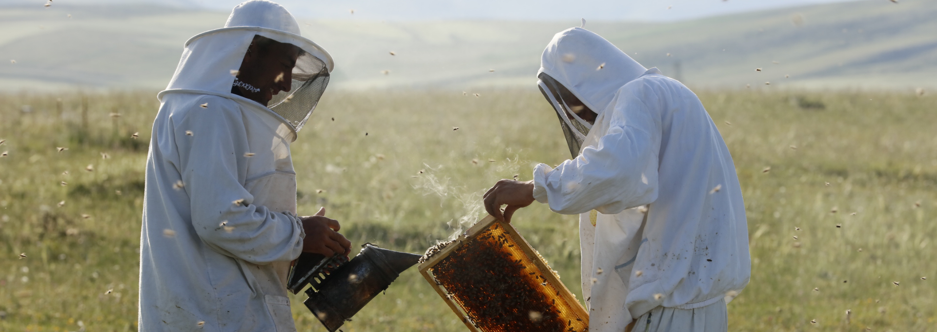 Balparmak Natural Pine Honey - 850 Grams