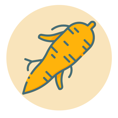 Findik