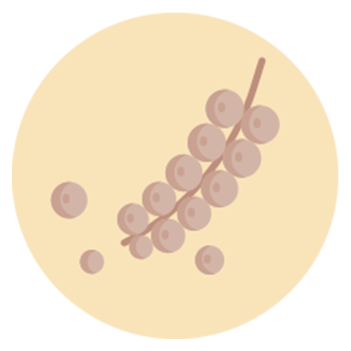 Findik