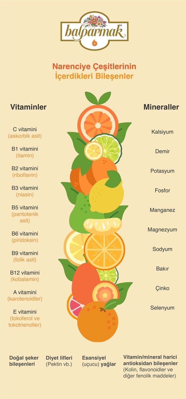 Narenciye çeşitlerinin içerdikleri bileşenler