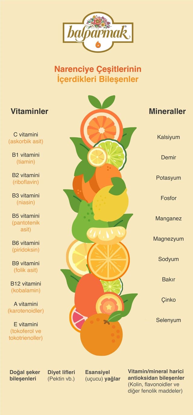 Narenciye çeşitlerinin içerdikleri bileşenler