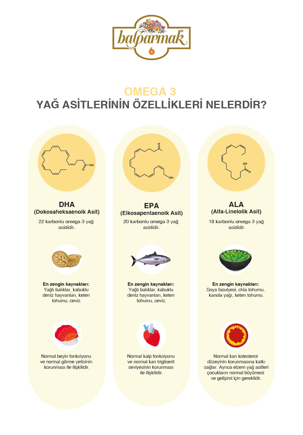 omega 3 yağ asitlerinin özellikleri nelerdir bilgi