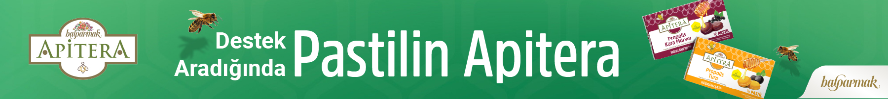 apitera-balparmak-pastil-kategori-desktop-banner.jpg