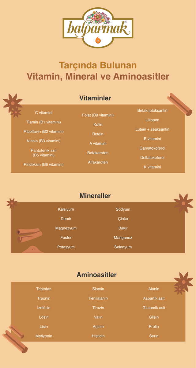 Tarçında bulunan vitamin mineral ve aminoasitler