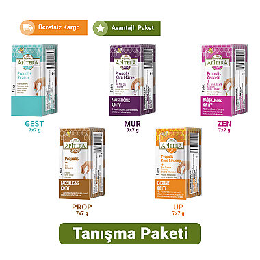 Apitera Tanışma Paketi (Zen, Mur, Prop, Gest, Up) - Apitera