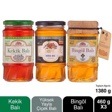 Gurme Ballar Paketi 460 g X 3 (Kekik Balı, Yüksek Yayla Balı, Bingöl Balı) - 1