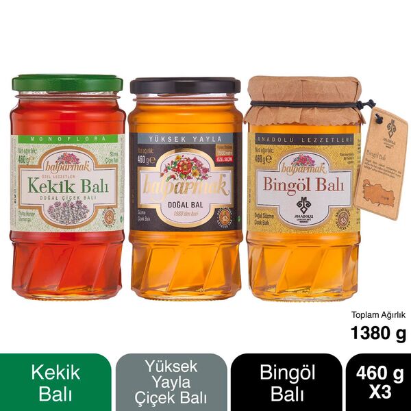 Gourmet Honey Pack 460g X 3 (Special Selection Blossom Honey, Bingöl Honey, Thyme Honey